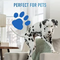 HOOVER PowerDash Pet Compact Carpet Cleaner Machine, Lightweight Carpet Shampooer -Vacuum Cleaners Sales Store hoover carpet cleaners fh50700us 4f 1000