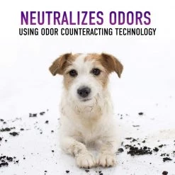 HOOVER 128 oz. Paws and Claws Pet Carpet Cleaner Solution -Vacuum Cleaners Sales Store hoover carpet cleaning products ah31933 66 1000