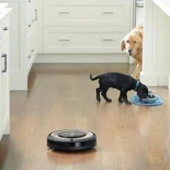 IRobot Roomba e6 (6198) Wi-Fi Connected Robot Vacuum Cleaner, Ideal for Pet Hair, Carpets, Self-Charging in Sand Dust -Vacuum Cleaners Sales Store irobot robotic vacuums e619820 fa 1000