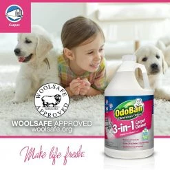 OdoBan 1 Gal. 3-in-1 Carpet Cleaner, Concentrated Carpet Cleaning Solution, EPA Safer Choice Certified, Fragrance Free -Vacuum Cleaners Sales Store odoban carpet cleaning products 960261 g 1d 1000