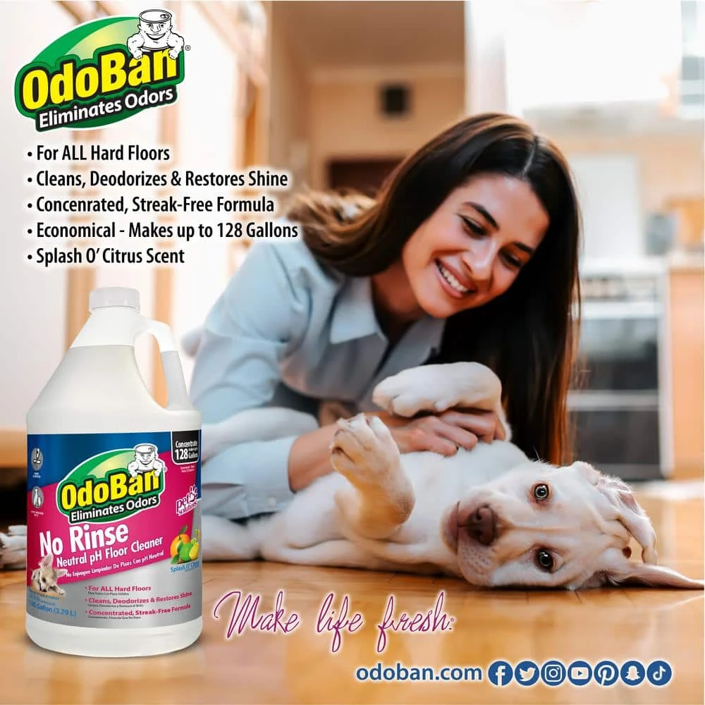OdoBan 1 Gal. No Rinse Neutral pH Floor Cleaner, Concentrated Hardwood and Laminate Floor Cleaner, Streak Free 9 OdoBan 1 Gal. No Rinse Neutral pH Floor Cleaner, Concentrated Hardwood and Laminate Floor Cleaner, Streak Free - Image 7