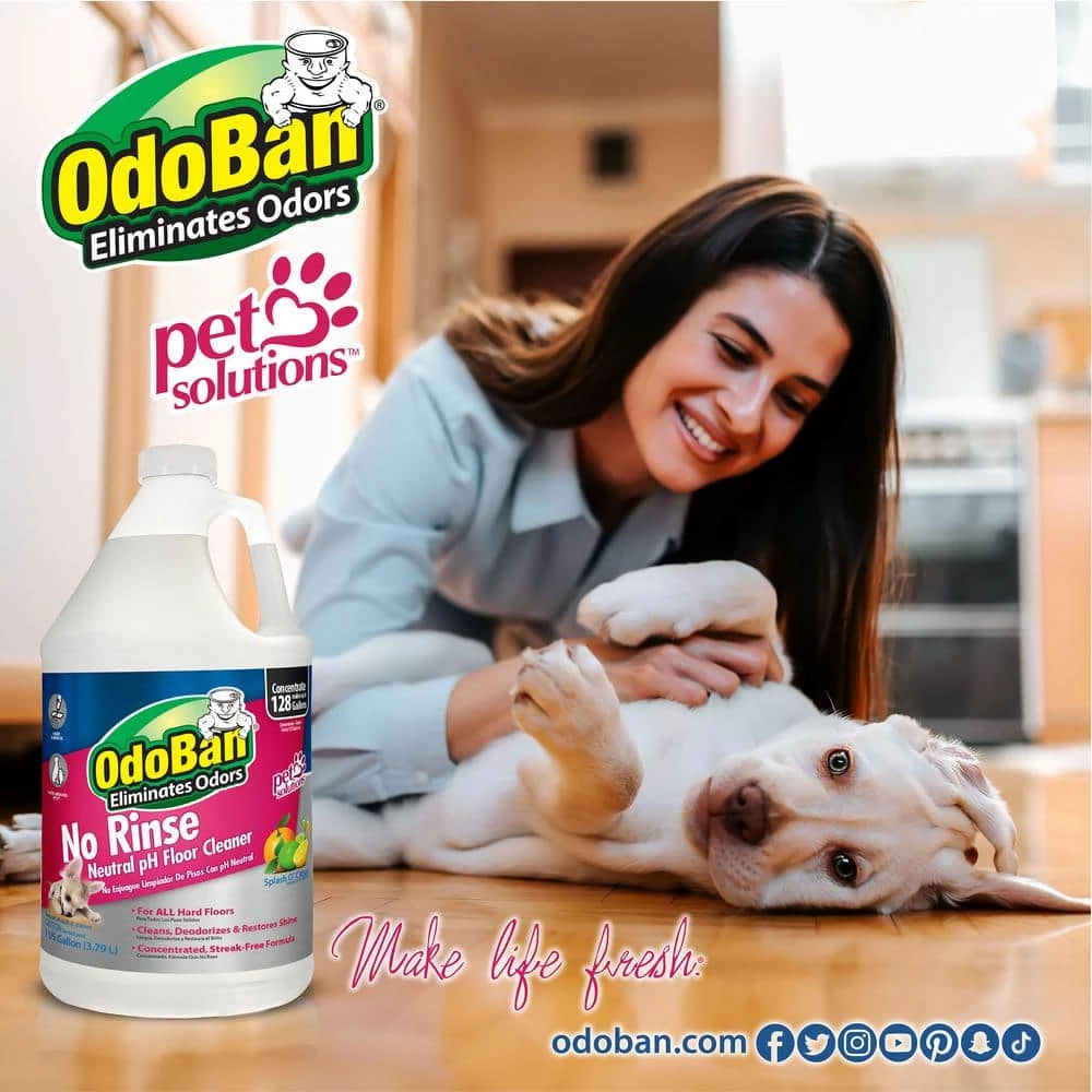 OdoBan 1 Gal. No Rinse Neutral pH Floor Cleaner, Concentrated Hardwood and Laminate Floor Cleaner, Streak Free (4-Pack) 6 OdoBan 1 Gal. No Rinse Neutral pH Floor Cleaner, Concentrated Hardwood and Laminate Floor Cleaner, Streak Free (4-Pack) - Image 4