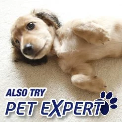 Resolve 22 oz. Foam Carpet Cleaner (3-Pack) 16 Resolve 22 oz. Foam Carpet Cleaner (3-Pack) -Vacuum Cleaners Sales Store resolve carpet cleaning products 19200 00706 3 fa 1000