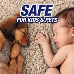 Resolve 96 oz. Carpet Steam Cleaning Concentrate (2-Pack) 15 Resolve 96 oz. Carpet Steam Cleaning Concentrate (2-Pack) -Vacuum Cleaners Sales Store resolve carpet cleaning products 19200 89973 2 76 1000