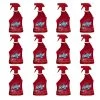 Resolve 32 oz. Professional Carpet Cleaner (12-Pack) -Vacuum Cleaners Sales Store resolve carpet cleaning products 36241 97402 12 64 1000